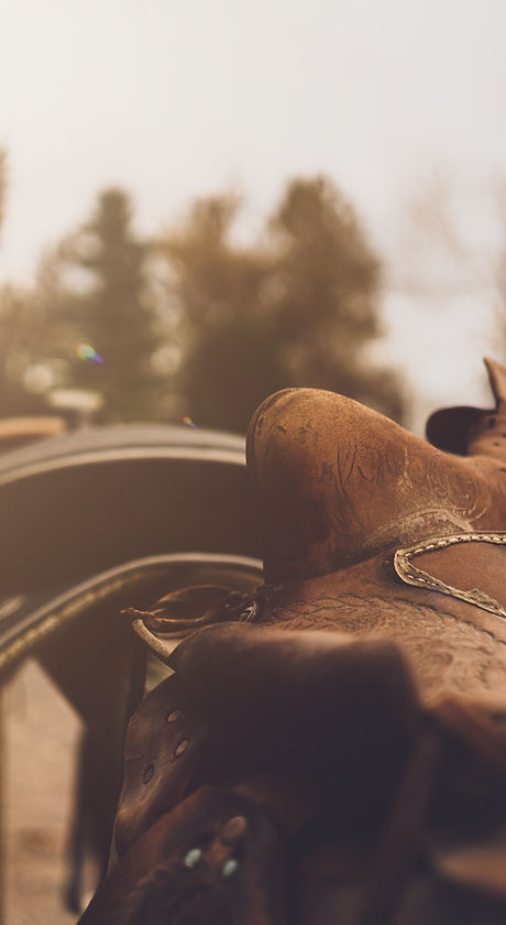 Image by Clint McKoy