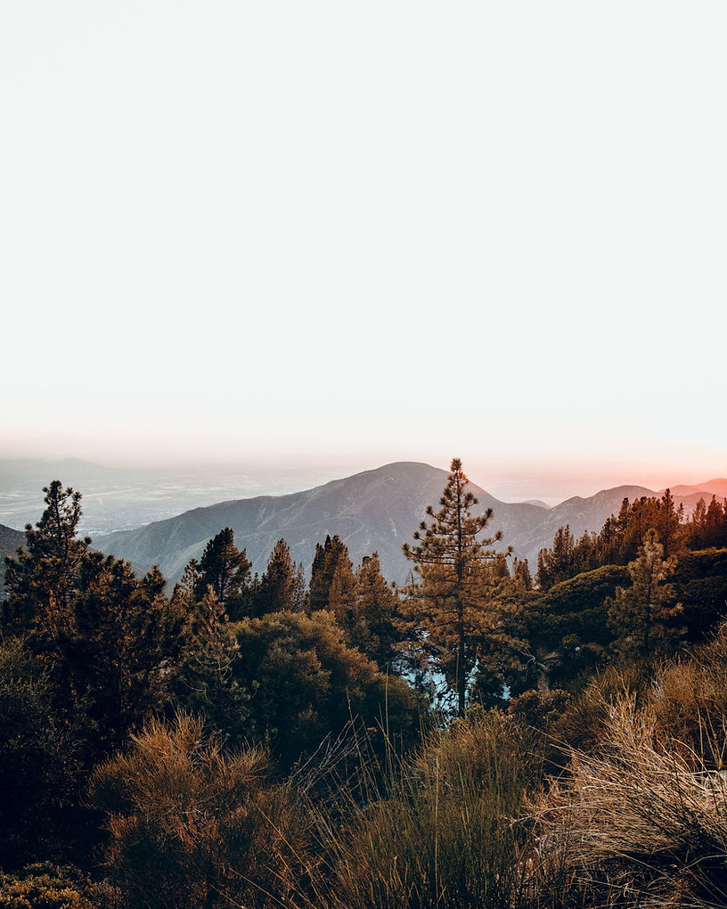 Image by Dane Deaner