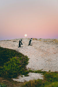 Image by Rachel Martin