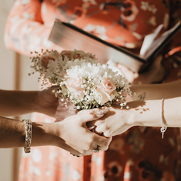 Image by Sofia Hernandez