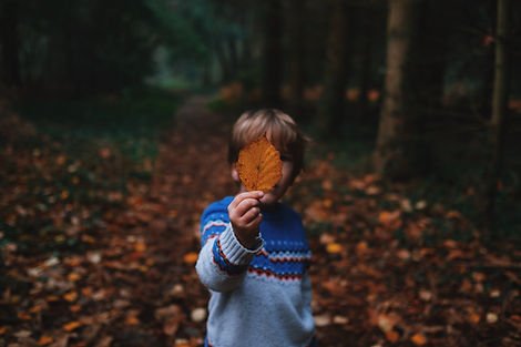 Image by Annie Spratt