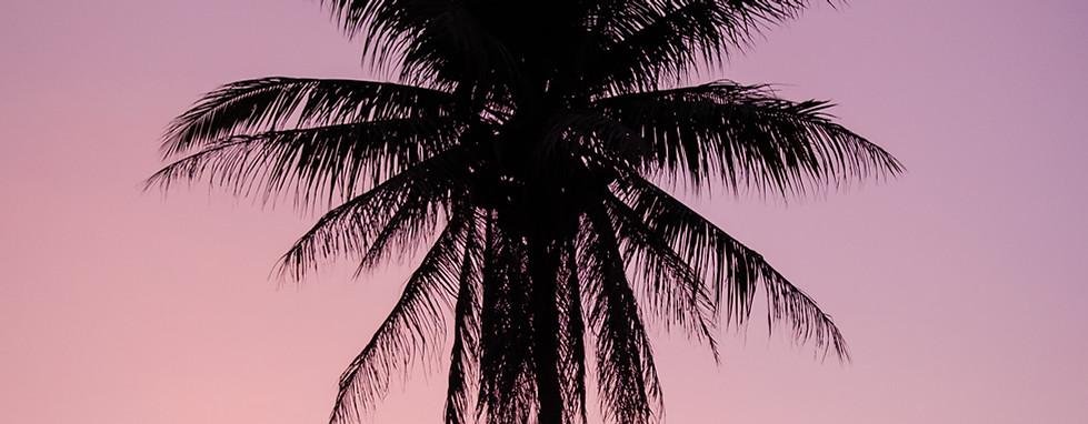 Image by Jonas Verstuyft