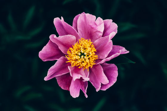 Proverbs of a 38 yr old man