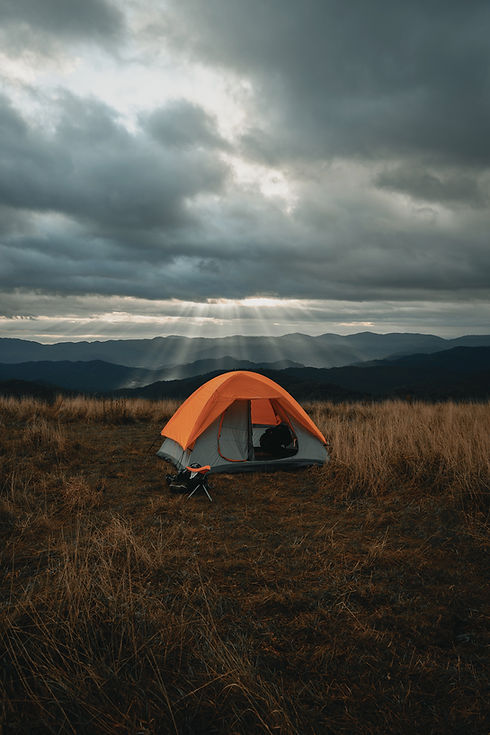 Image by Clay Banks