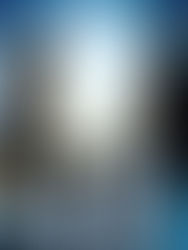 The Adoption Celebration of ღŠσɱɱεr Hαгєɮღ, Ƙⅈɳɠ ℒοųⅈℯ & Willow 12.30.23 @ 11:00 am SLT