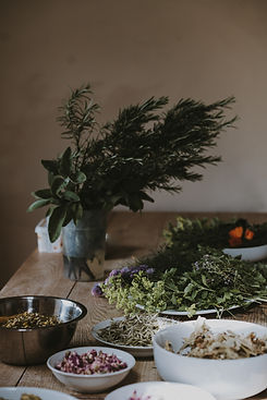 Image by Annie Spratt