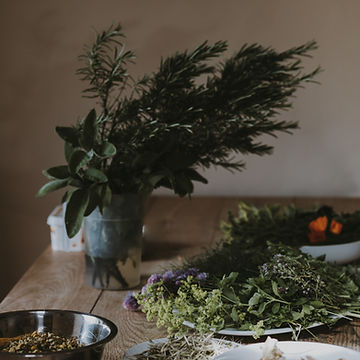 Image by Annie Spratt