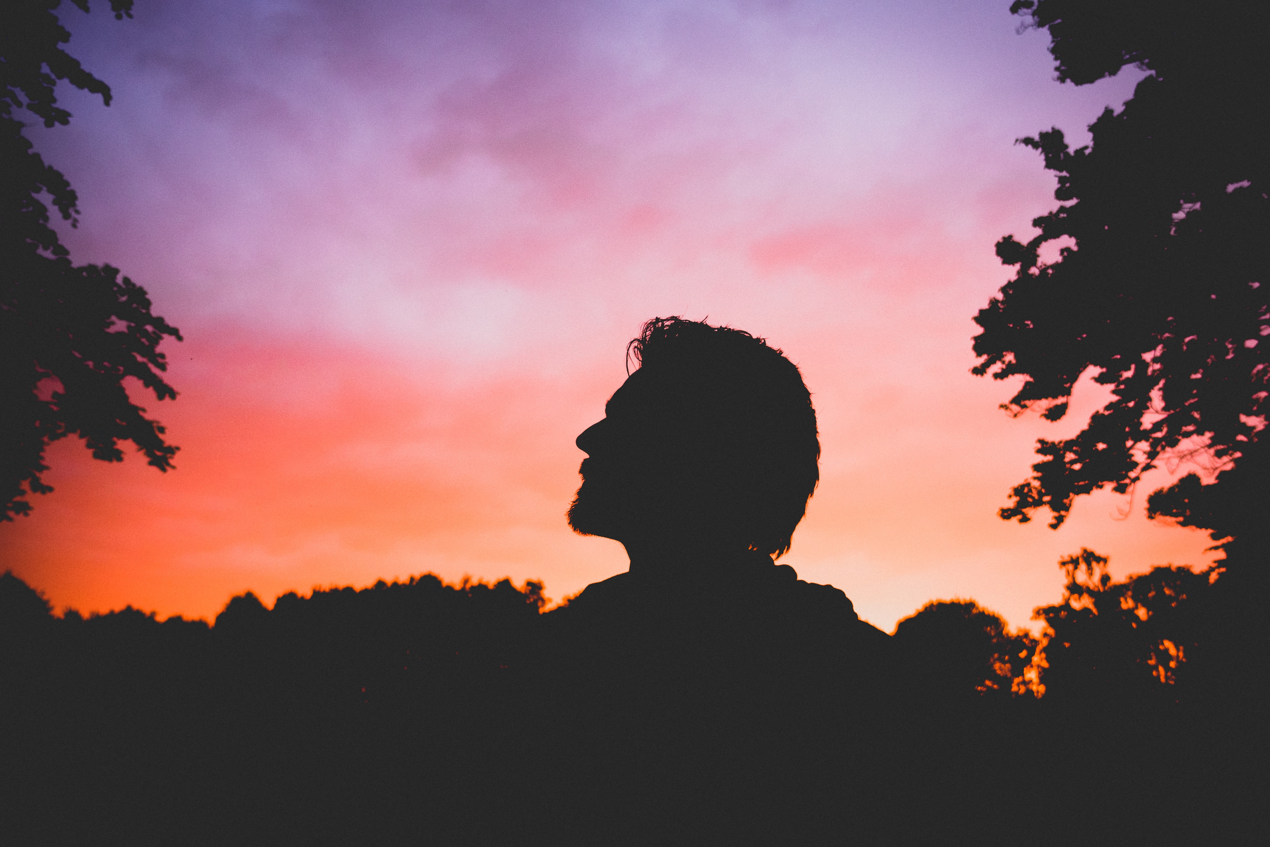 Image by Luke Porter