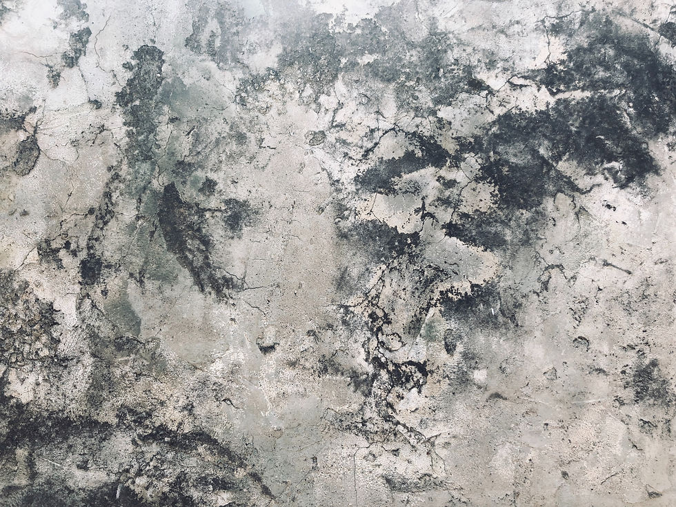 Image by Opus Form