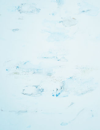 Image by Annie Spratt