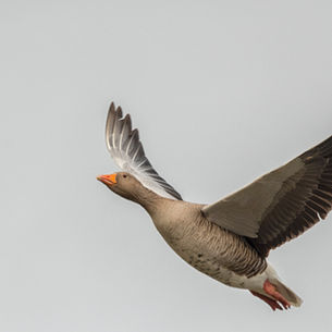 生きて生きて生き切る