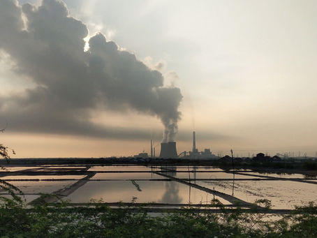 11. Pollution
