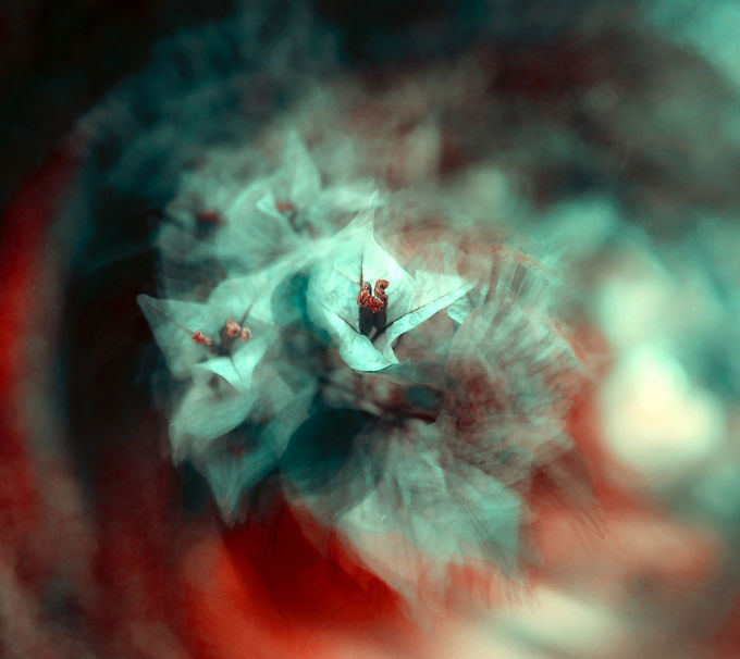 Image by Jr Korpa