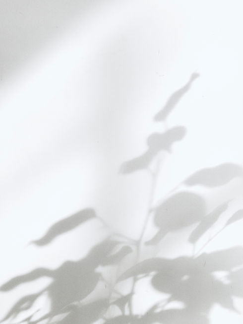 Image by Milad Fakurian