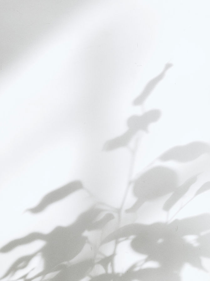 Image by Milad Fakurian