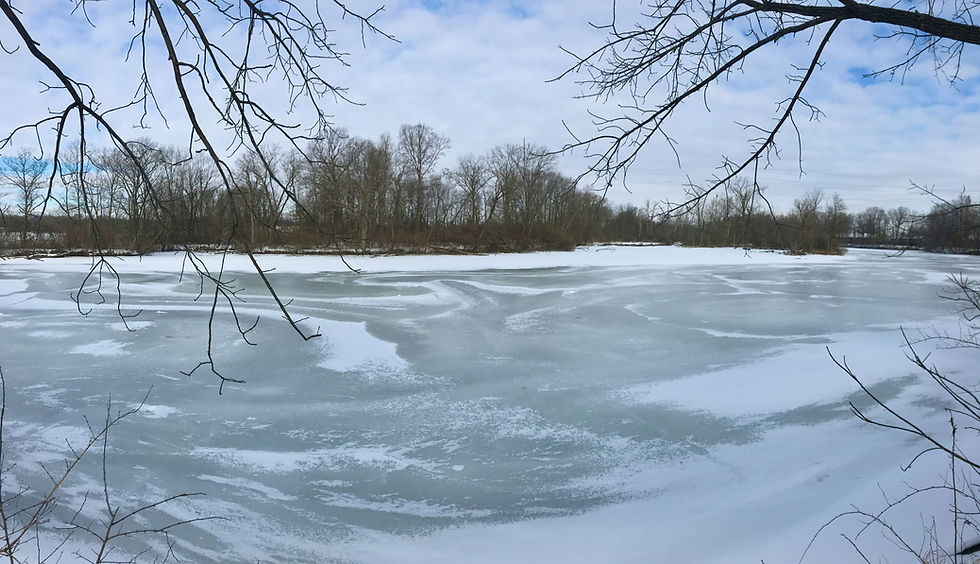 Frozen river with bare tree branches in foreground, cloudy sky, and distant leafless trees. Winter atmosphere, calm and serene.