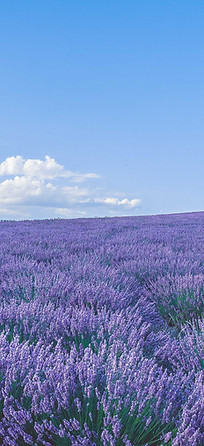 Psychopraticienne spécialisée en guidance parentale à Chalon-sur-Saône