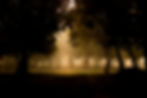 Image by K Kannan