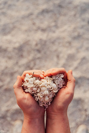 Image by Michelle McEwen