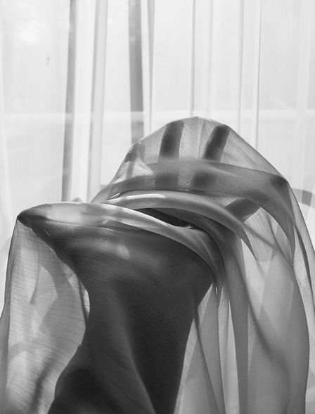 Image by Ellery Sterling