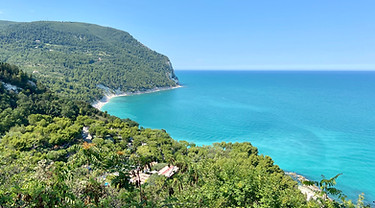 Image by Alessio Patron