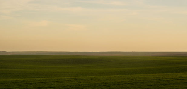Image by Viktor Talashuk