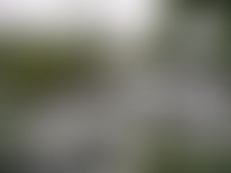 Flood Reports vs. SuDS Reports: Which One Do You Need?