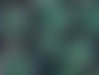 Organization for Moms With ADHD: Real Strategies That Work