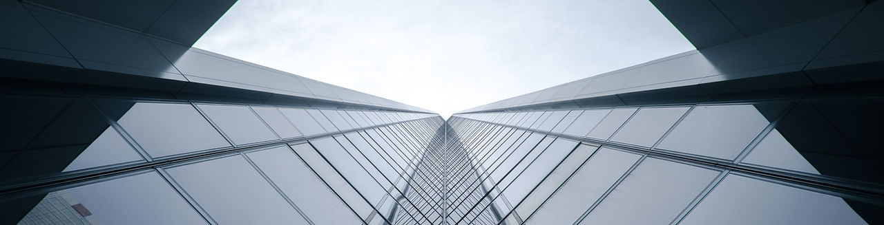 Image by Verne Ho