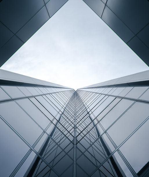 Image by Verne Ho