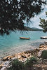 Image by Kevin Bückert