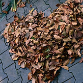 Image by Baguette Knight