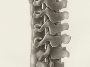 spine from spinal decompression therapy