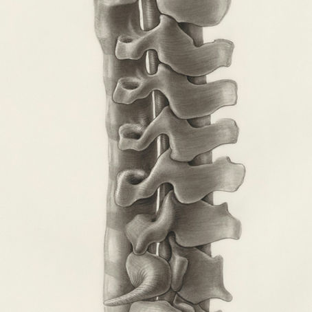 Rehabilitacja w przewlekłym bólu lędźwi – ile trwa , komu może się przytrafić?