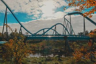 Image by Tayla Kohler