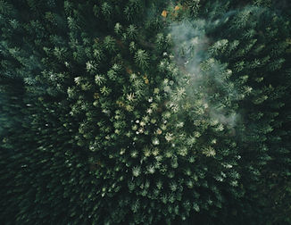 Image by Tomasz Smal