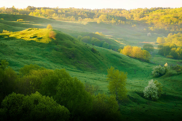 Image by Vyacheslav Shatskiy