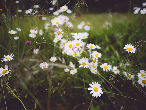 Streamside News…Summer ‘23