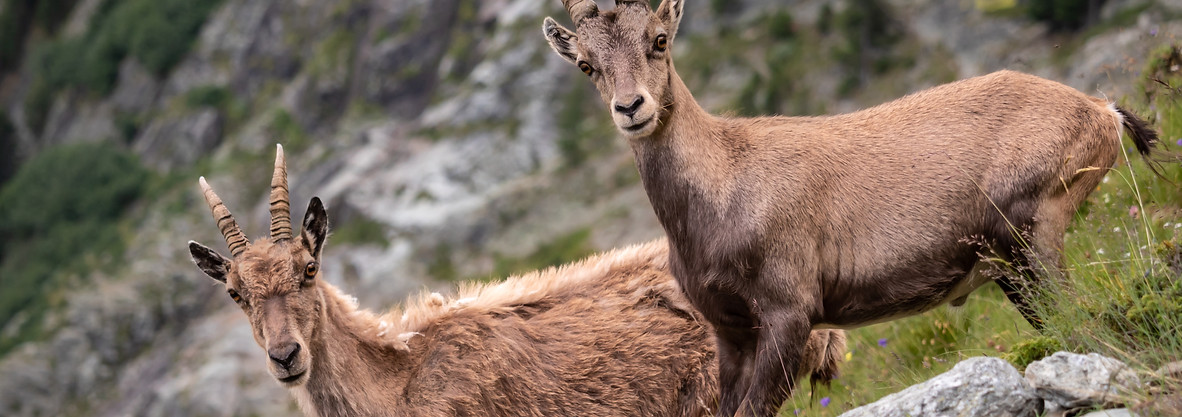 Image by Michael Behrens