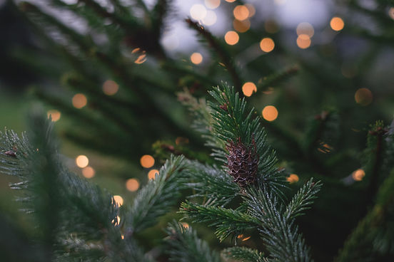 Image by freestocks
