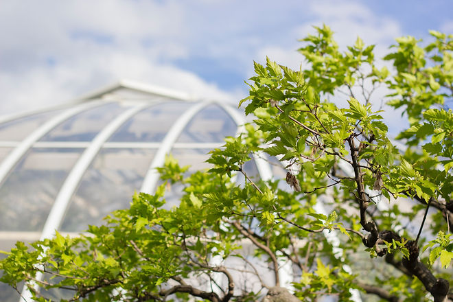 Conservatory cleaning Sheffield