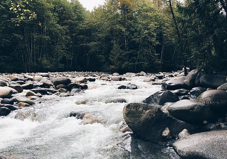 The Brook by Alfred Lord Tennyson