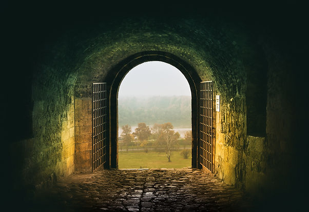 Image by Nikola Knezevic