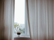 Halbtransparente beige Vorhänge sind einen Spalt geöffnet. Durch diesen sieht man aufs Fenster auf dessen Fenstersims eine kleine Grünpflanze steht. 