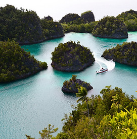 Image de Raja Ampat