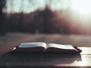 Holy Bible in sunlight