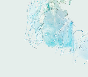 Image by Annie Spratt