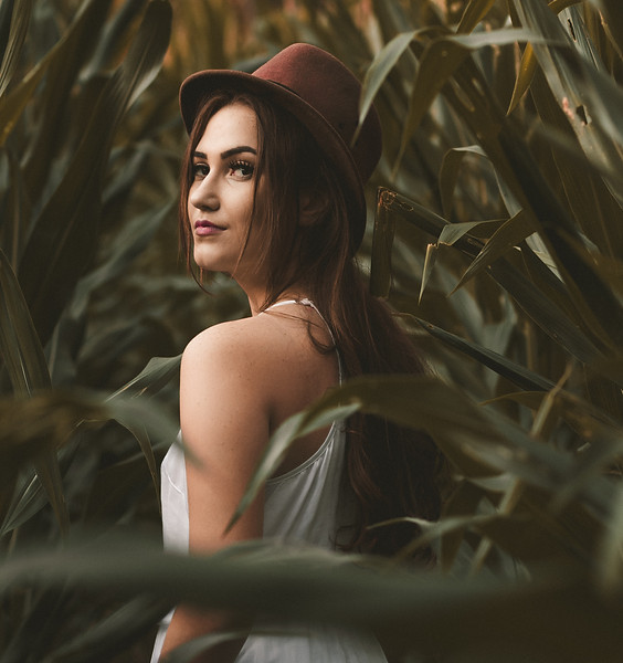 Image by Allef Vinicius