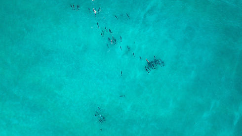 Image by Yuriy MLCN