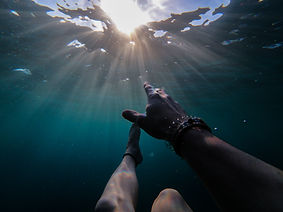 Image by Cristian Palmer
